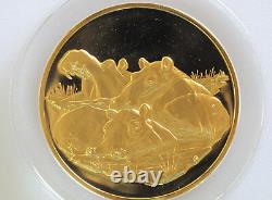 1972 Hippopotami Gold Plated Sterling Silver Medal Franklin Mint D8159