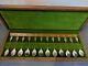 Boxed Set Of Royal Horticultural Society Sterling Silver English Flower Spoons