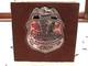 Deputy Sheriff Los Angeles Sterling Silver Franklin Mint Old West Badge, Boxed