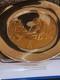 Franklin Mint 1976 John Hancock Bicentennial Commemorative Plate Sterling
