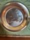 The Franklin Mint Audubon John James Audubon Wood Thrush Sterling Silver Plate